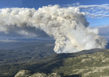 Kanada'nın en büyük yangınında şimdiye kadar yaklaşık 13,4 milyon hektar alan yandı