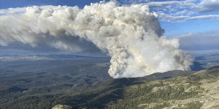 Kanada'nın en büyük yangınında şimdiye kadar yaklaşık 13,4 milyon hektar alan yandı