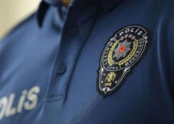 Kedileri çiftleştirmek için buluşan iki kadın anlaşamadı, devreye 'tanıdık polis' girdi