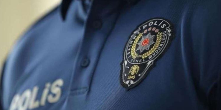 Kedileri çiftleştirmek için buluşan iki kadın anlaşamadı, devreye 'tanıdık polis' girdi