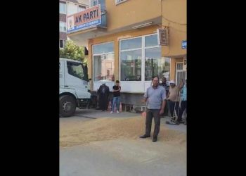 Konya’da TMO'yu protesto eden çiftçi buğdayını AKP binası önüne döktü