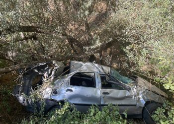 Köpeğe çarpmamak için manevra yaptı, uçuruma yuvarlandı; 4 ölü