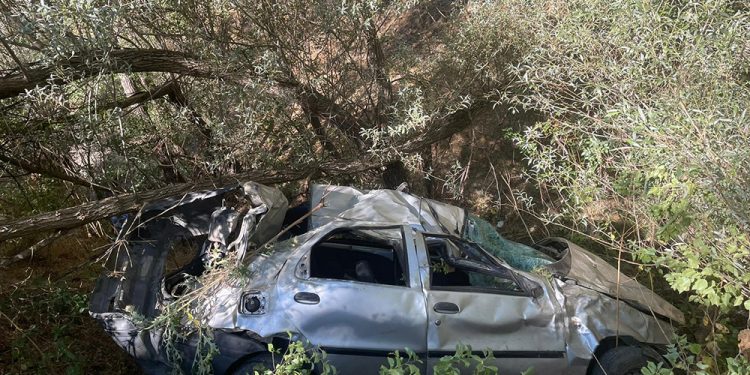 Köpeğe çarpmamak için manevra yaptı, uçuruma yuvarlandı; 4 ölü