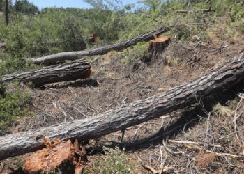 Meclis Akbelen için olağanüstü toplanıyor