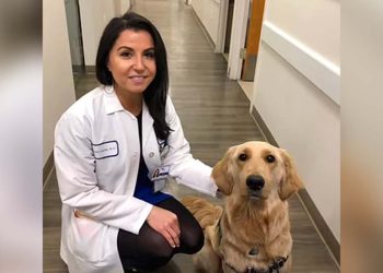 New York'un ünlü doktoru önce bebeğini öldürdü sonra intihar etti