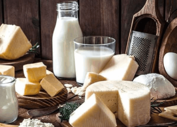 Peynir ve sütte brusella tehlikesi! Uzman isim uyardı