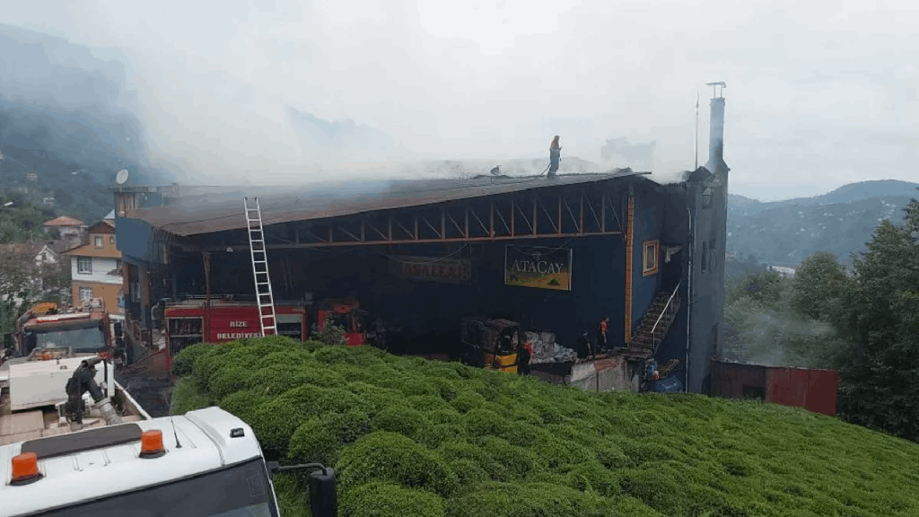 Rize’de çay fabrikasında yangın çıktı: Nedeni belli oldu