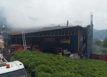 Rize’de çay fabrikasında yangın çıktı: Nedeni belli oldu