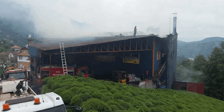 Rize’de çay fabrikasında yangın çıktı: Nedeni belli oldu
