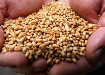 Rusya'nın tahıl anlaşmasından çıkmasından sonra ikinci yük gemisi Karadeniz’e açıldı