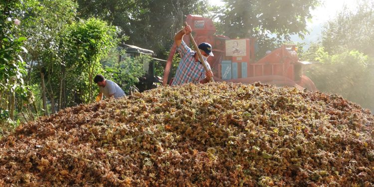 Saatlik ücretleri 2 bin TL: Yılda sadece 1.5 ay çalışıyorlar