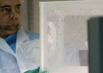 Sıtmayla mücadelede ‘rastlantısal keşif’