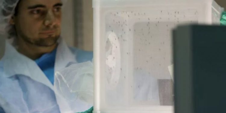 Sıtmayla mücadelede ‘rastlantısal keşif’