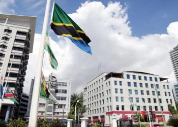 Tanzanya'da iki muhalife gözaltı: Gerekçe, 'hükümeti devirmeye' çalışmak