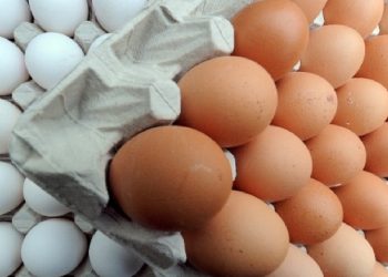 Tayvan’ın geri gönderdiği kanserojen yumurtalar ne oldu?