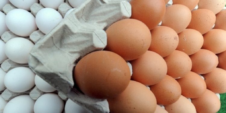 Tayvan’ın geri gönderdiği kanserojen yumurtalar ne oldu?