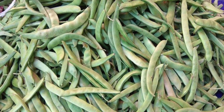 Taze fasulye, neden 100 lira oldu?