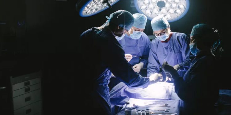 Tıp dünyasını şaşırtan olay: Bir kadının beyninden canlı solucan çıkarıldı