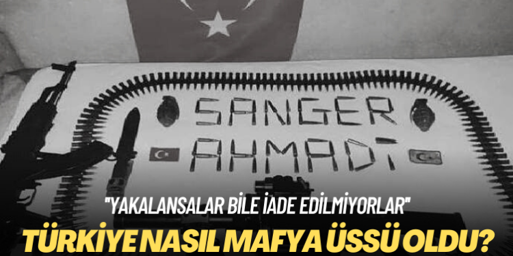 Türkiye nasıl mafya üssü oldu?