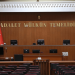Türkiye'den "bağımsız yargı" manzaraları: Alman milletvekilini gözaltına alındılar birkaç saat içinde serbest bırakıp dosyayı kapattılar