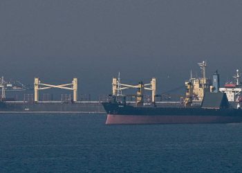 Ukrayna dünyaya tahıl sevkiyatı için 'yeni Karadeniz rotasını' kullanabilir