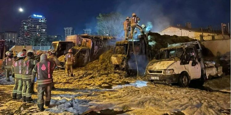 Veliefendi Hipdorumu çevresideki yangınlarla ilgili gözaltına alınan şüpheli tutuklandı