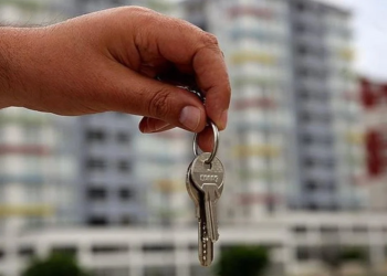 Yıllarca istenmediler, şimdi ev sahiplerinin yeni gözdesi oldular