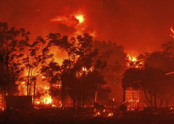 Yunanistan'da orman yangını: 18 ceset bulundu; yanmış cesetlerin göçmenlere ait olduğu öngörülüyor