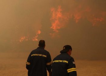 Yunanistan'da orman yangınlarındaki yetersiz müdahale protesto edildi