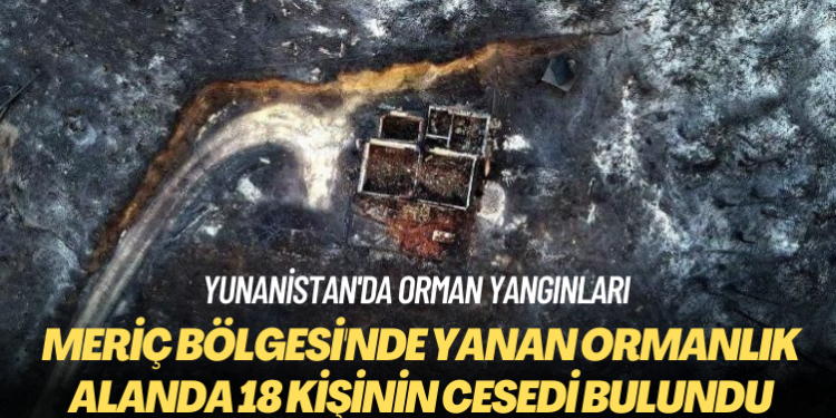 Yunanistan’ın Meriç Bölgesi’nde yanan ormanlık alanda 18 kişinin cesedi bulundu