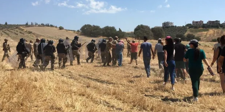 Zeytinliklerini savunan halkın direnişi sürüyor: Köylüler darp edildi