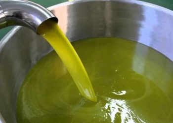 Zeytinyağı ihracatı üç aylığına yasaklandı