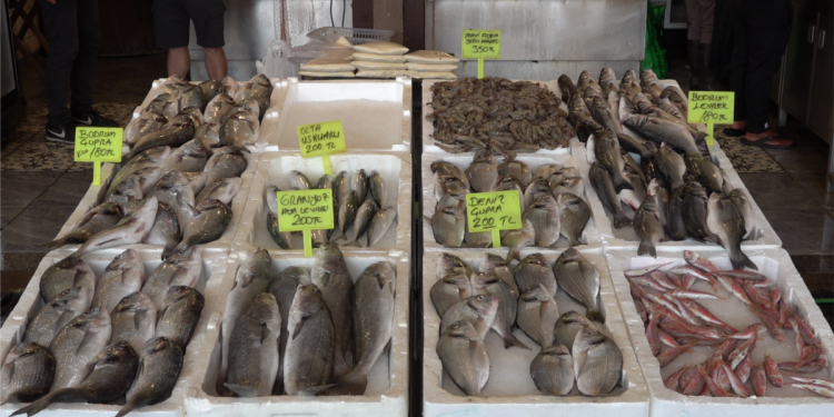 Av yasağı kalktı balıkçıların deniz hasreti sona erdi