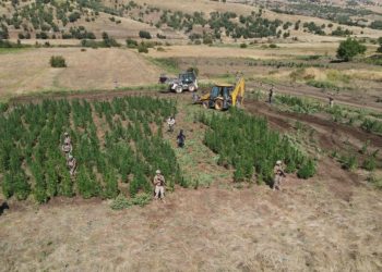 Diyarbakır’da 129 noktaya eş zamanlı uyuşturucu operasyonu