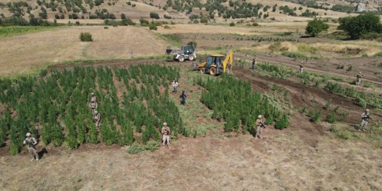 Diyarbakır’da 129 noktaya eş zamanlı uyuşturucu operasyonu