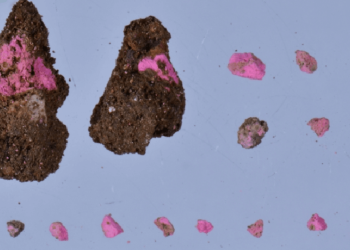 2 bin yıl önce yaşamış Romalı kadınların makyaj malzemeleri bulundu