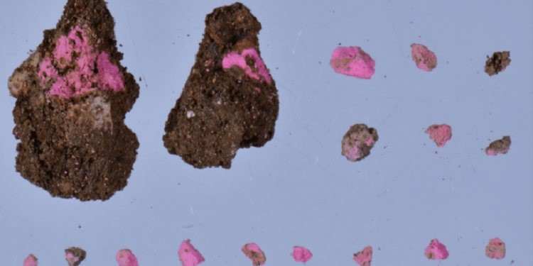 2 bin yıl önce yaşamış Romalı kadınların makyaj malzemeleri bulundu