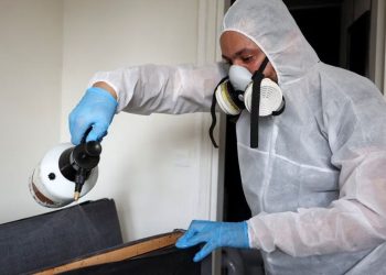 2024 Olimpiyatları'na hazırlanan Paris'in gündemi tahtakuruları: 'Hiçbirimiz güvende değiliz'