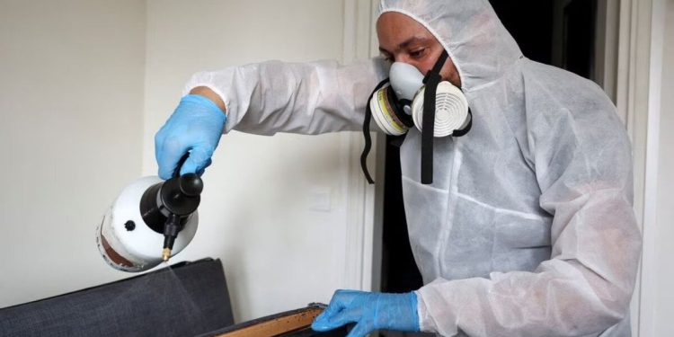 2024 Olimpiyatları'na hazırlanan Paris'in gündemi tahtakuruları: 'Hiçbirimiz güvende değiliz'