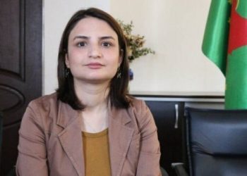 DBP İl Eşbaşkanı davasında mütalaa hazırlanacak