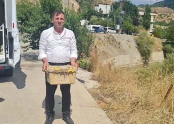 Ölüye Saygı İnisiyatifi: Ölülere eziyet toplumsal barışı bozuyor