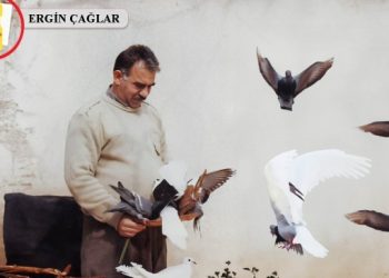 İmralı tecridi: 449 görüşme başvurusu sonuçsuz kaldı