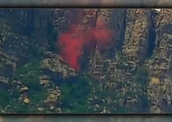 Av. Şakar: KDP savaş suçunun açığa çıkmasını engelledi