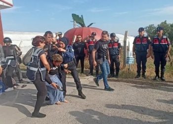 Agrobay işçileri serbest bırakıldı