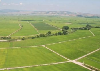 İzmir belediyelerinde büyük satış!