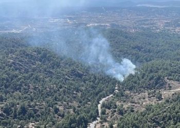 Muğla ve Denizli’de orman yangını