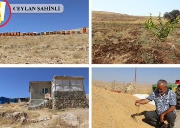 Yeniden ve yerinde inşa için köylerine geri döndüler