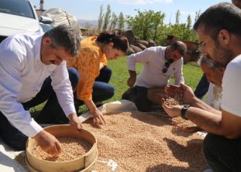 Wan’ın komünal kooperatifi ilk mahsulünü aldı