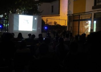 Amed Ekolojik Film Günleri son buldu