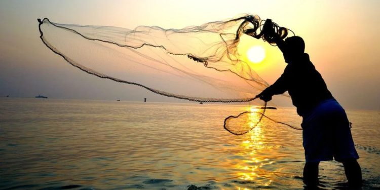 Av yasağı bitti, sezonun ilk balıkları avlandı